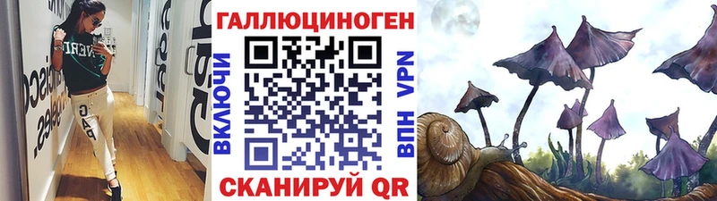 Галлюциногенные грибы Psilocybe  где купить   Кириллов 
