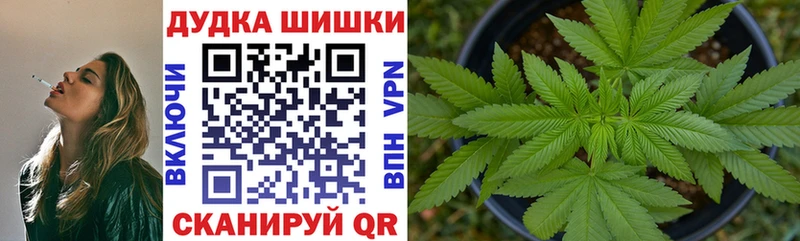 Бошки Шишки семена купить наркотик Кириллов
